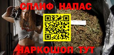 стаф Новозыбков