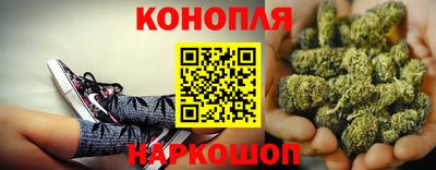 прущие грибы Новодвинск