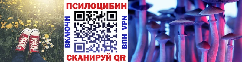 Псилоцибиновые грибы Magic Shrooms  Чистополь 