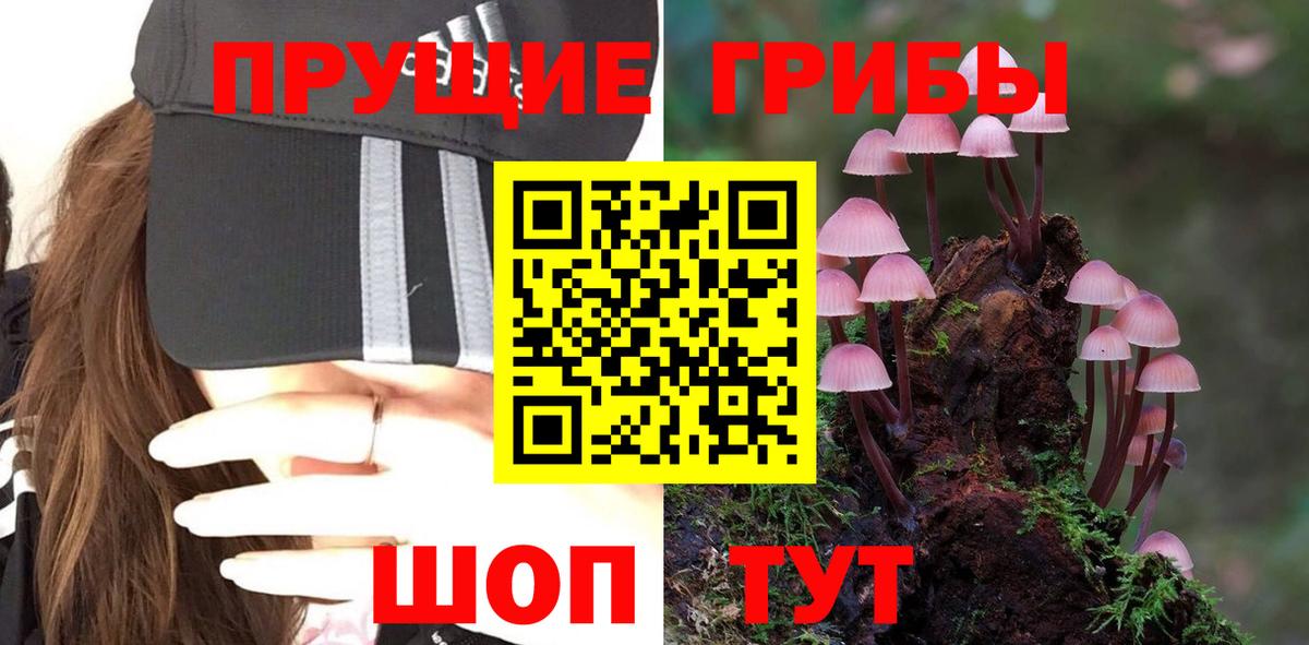 Галлюциногенные грибы мухоморы  Псилоцибиновые грибы ЛСД  Вход с VPN  Чистополь 