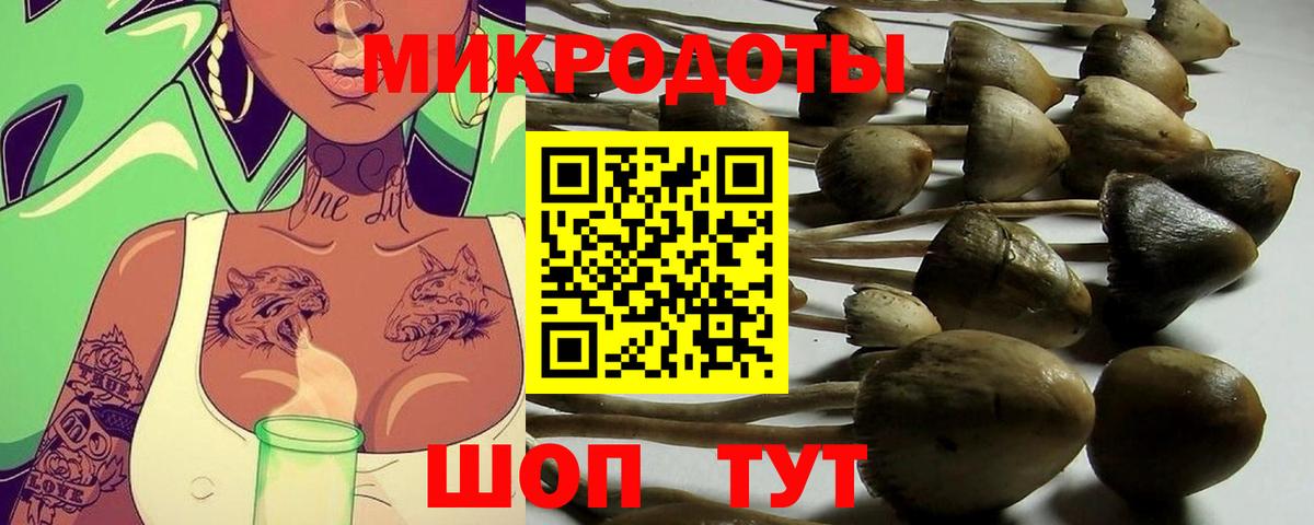 Псилоцибиновые грибы Cubensis Чистополь